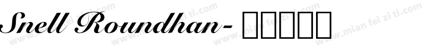 Snell Roundhan字体转换